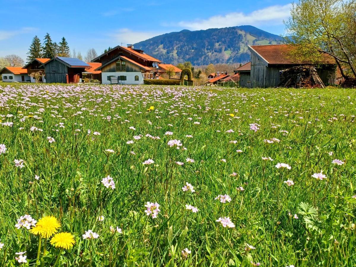 Ferienwohnung Geierstein Wackersberg Zewnętrze zdjęcie